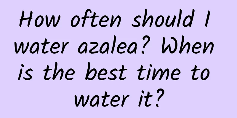 How often should I water azalea? When is the best time to water it?