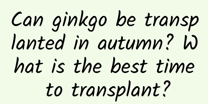 Can ginkgo be transplanted in autumn? What is the best time to transplant?