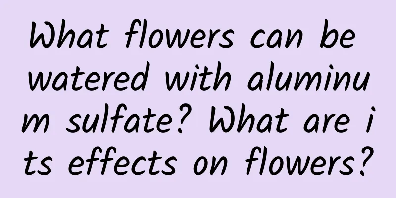 What flowers can be watered with aluminum sulfate? What are its effects on flowers?
