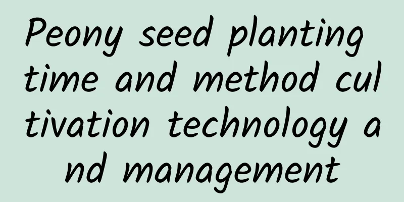 Peony seed planting time and method cultivation technology and management