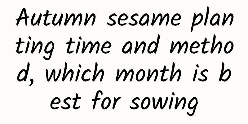 Autumn sesame planting time and method, which month is best for sowing