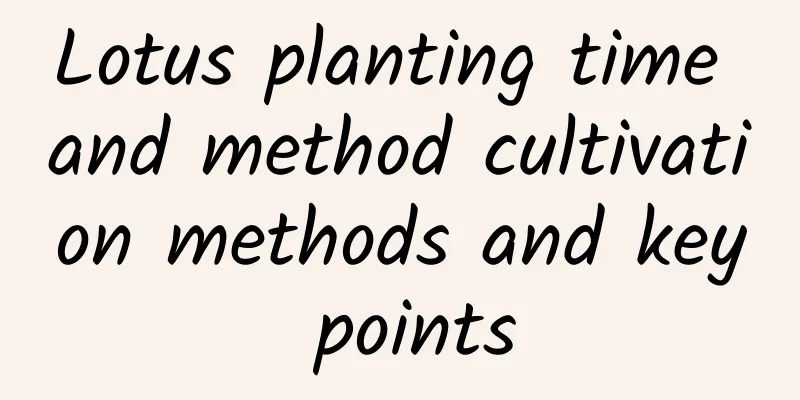 Lotus planting time and method cultivation methods and key points