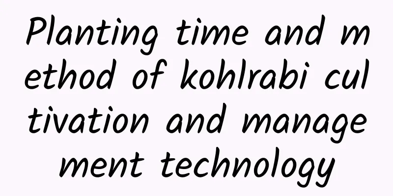 Planting time and method of kohlrabi cultivation and management technology