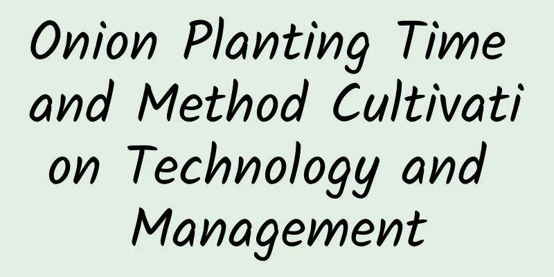 Onion Planting Time and Method Cultivation Technology and Management