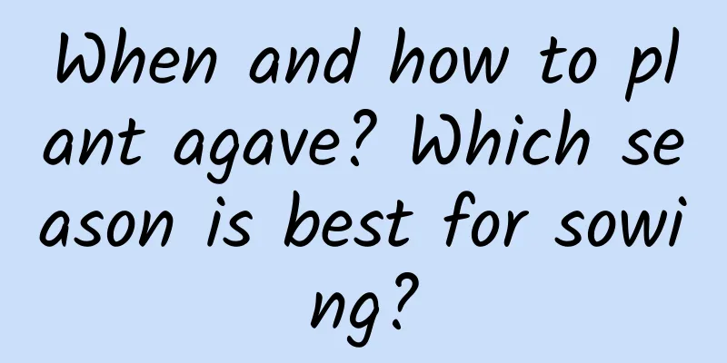 When and how to plant agave? Which season is best for sowing?