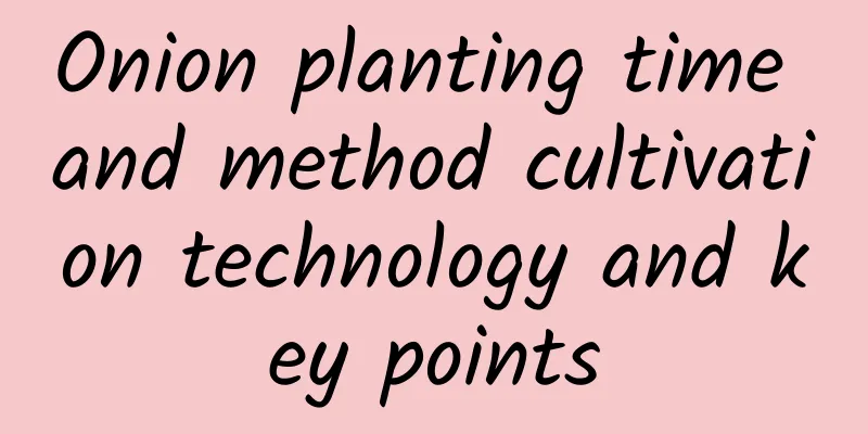Onion planting time and method cultivation technology and key points