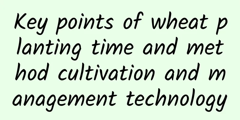 Key points of wheat planting time and method cultivation and management technology