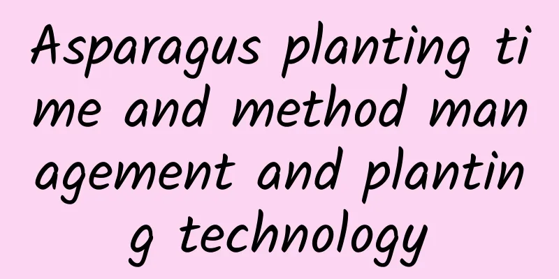 Asparagus planting time and method management and planting technology