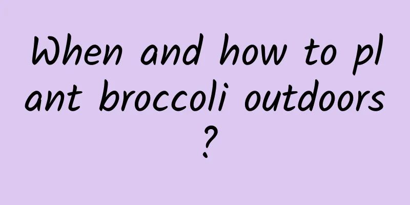 When and how to plant broccoli outdoors?