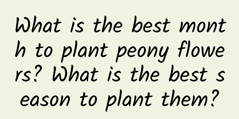 What is the best month to plant peony flowers? What is the best season to plant them?