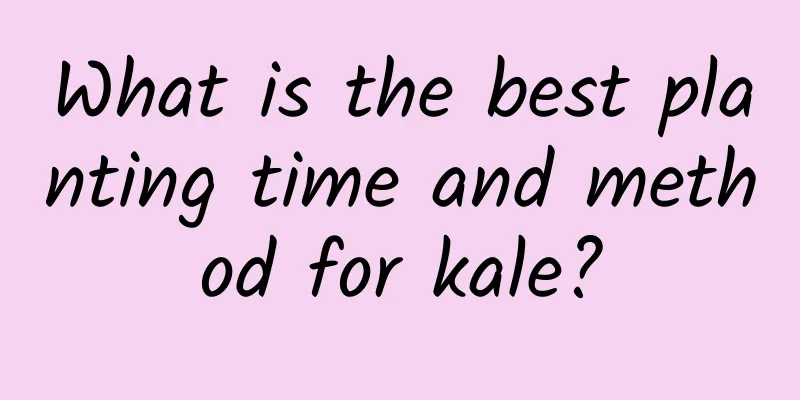 What is the best planting time and method for kale?