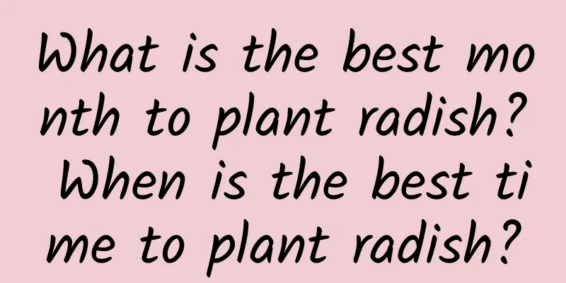 What is the best month to plant radish? When is the best time to plant radish?