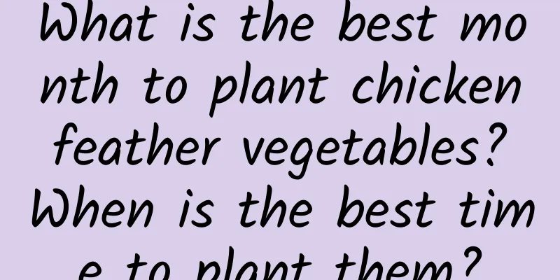 What is the best month to plant chicken feather vegetables? When is the best time to plant them?