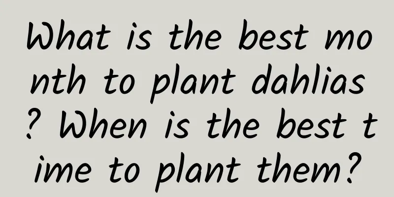 What is the best month to plant dahlias? When is the best time to plant them?