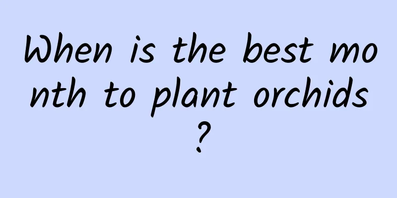 When is the best month to plant orchids?