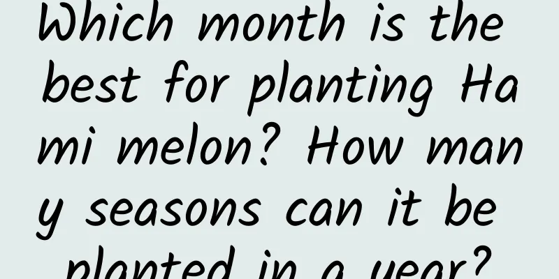 Which month is the best for planting Hami melon? How many seasons can it be planted in a year?