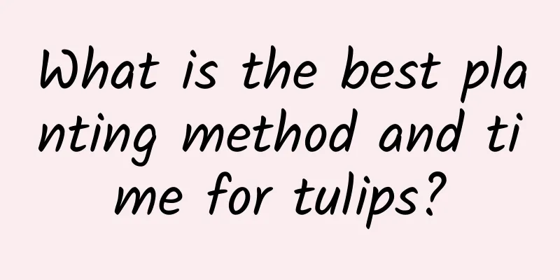 What is the best planting method and time for tulips?