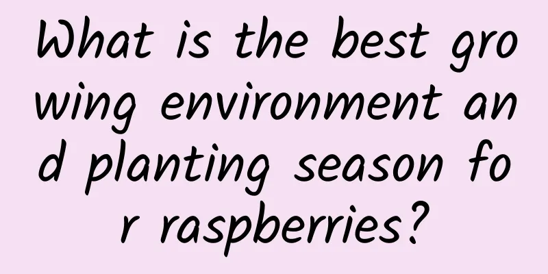 What is the best growing environment and planting season for raspberries?