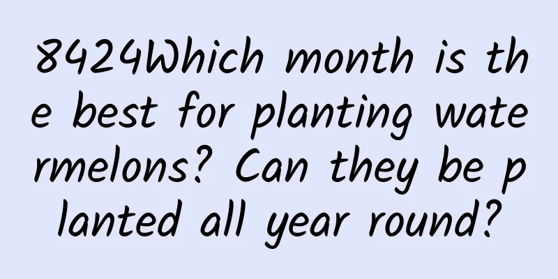 8424Which month is the best for planting watermelons? Can they be planted all year round?