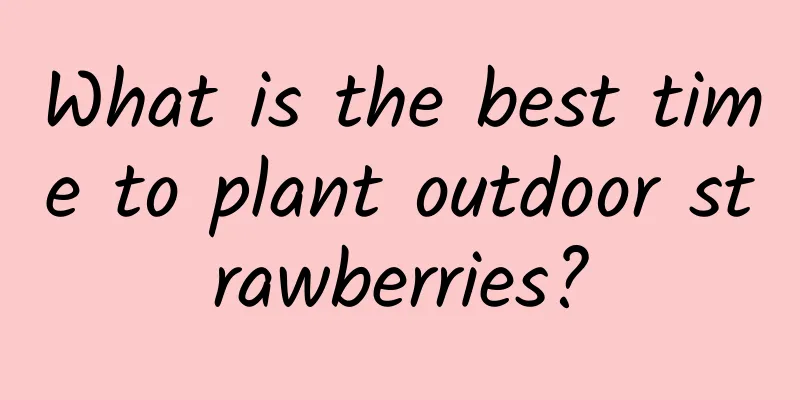 What is the best time to plant outdoor strawberries?
