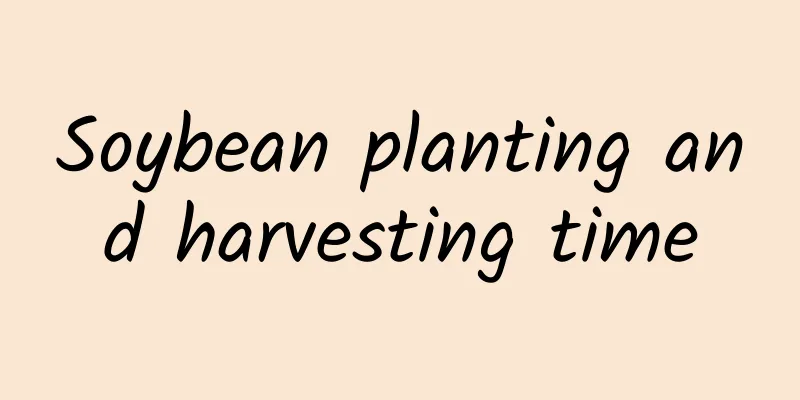 Soybean planting and harvesting time