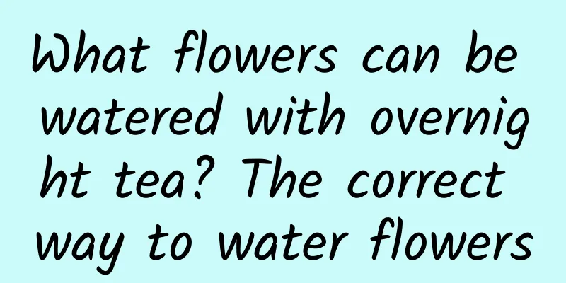 What flowers can be watered with overnight tea? The correct way to water flowers