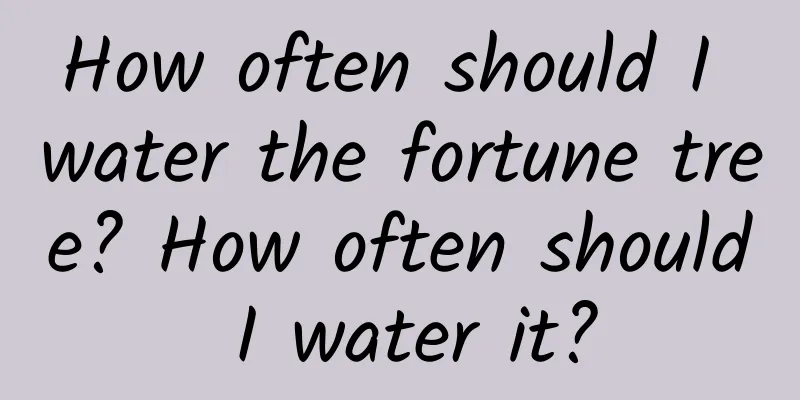 How often should I water the fortune tree? How often should I water it?