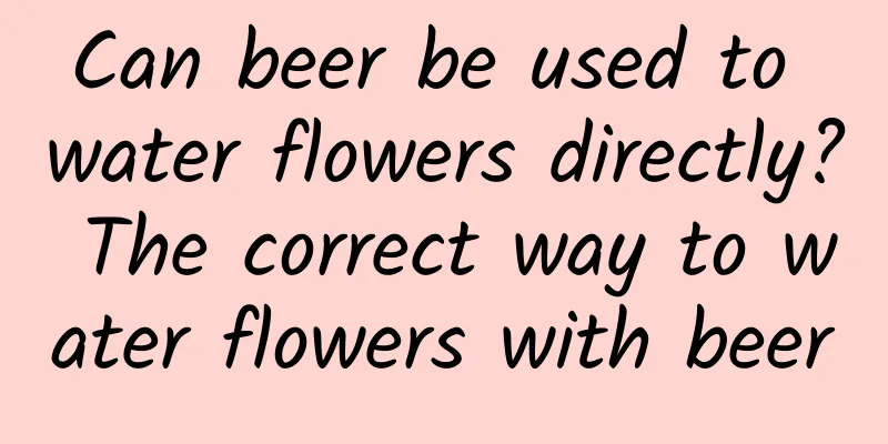 Can beer be used to water flowers directly? The correct way to water flowers with beer