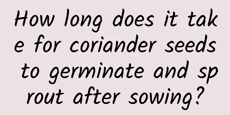 How long does it take for coriander seeds to germinate and sprout after sowing?