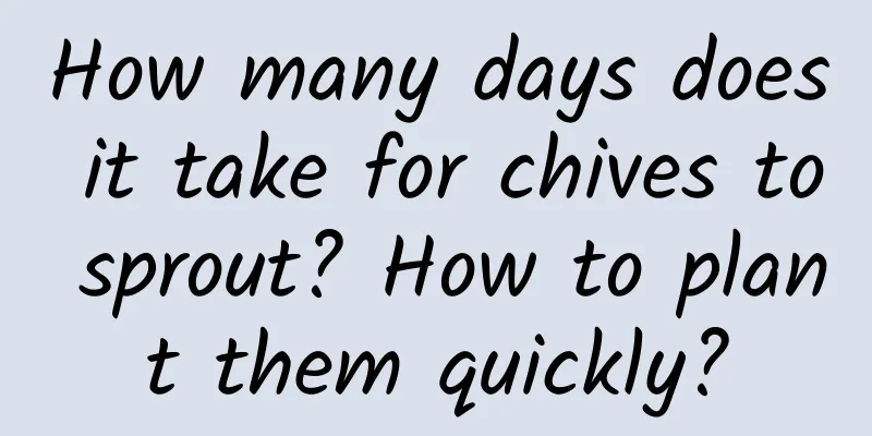 How many days does it take for chives to sprout? How to plant them quickly?