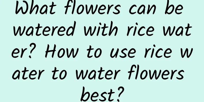 What flowers can be watered with rice water? How to use rice water to water flowers best?