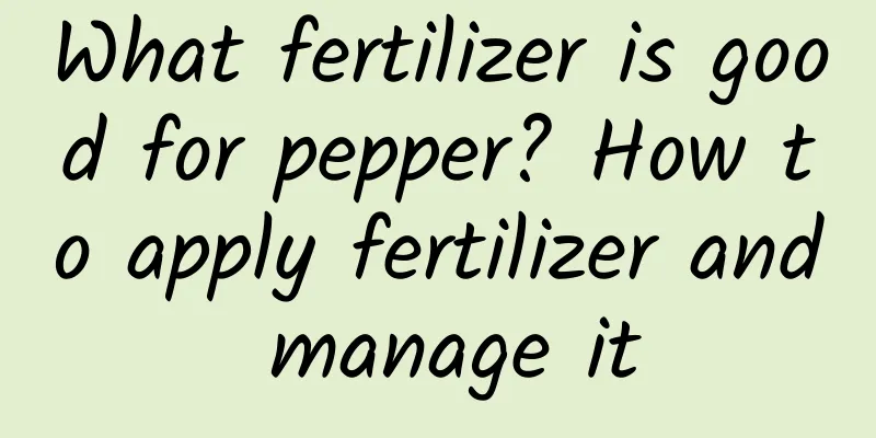 What fertilizer is good for pepper? How to apply fertilizer and manage it