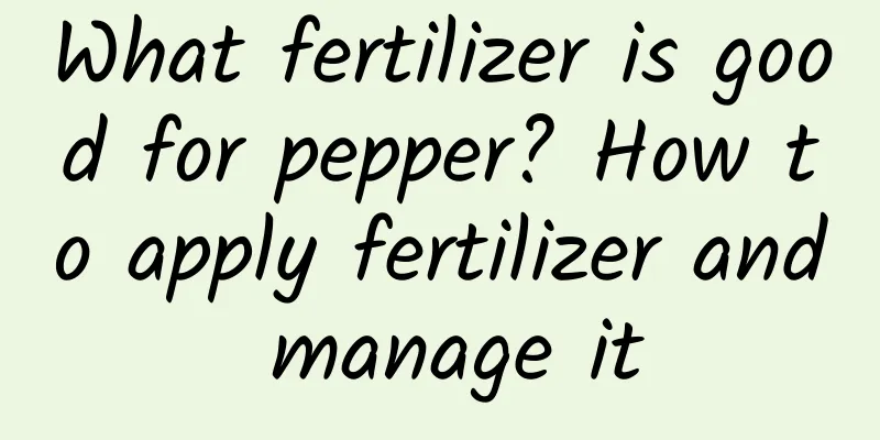 What fertilizer is good for pepper? How to apply fertilizer and manage it