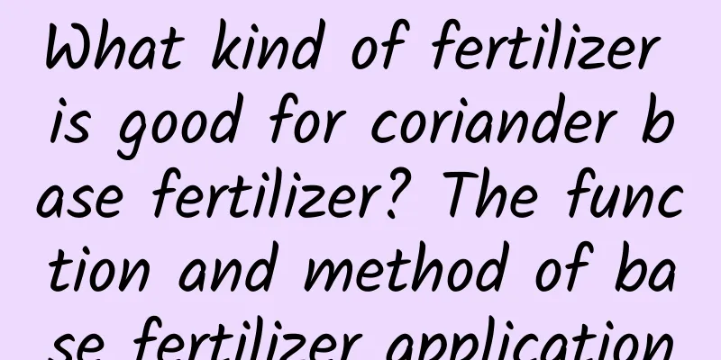 What kind of fertilizer is good for coriander base fertilizer? The function and method of base fertilizer application