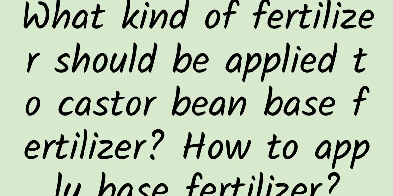 What kind of fertilizer should be applied to castor bean base fertilizer? How to apply base fertilizer?