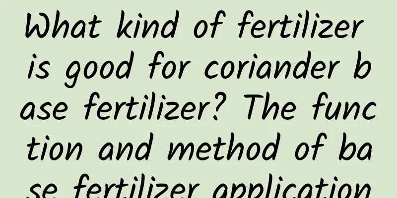 What kind of fertilizer is good for coriander base fertilizer? The function and method of base fertilizer application