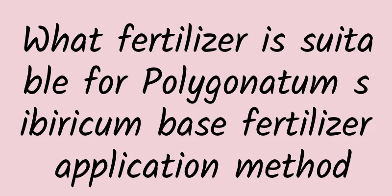What fertilizer is suitable for Polygonatum sibiricum base fertilizer application method