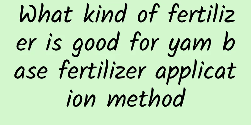 What kind of fertilizer is good for yam base fertilizer application method