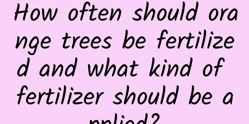 How often should orange trees be fertilized and what kind of fertilizer should be applied?