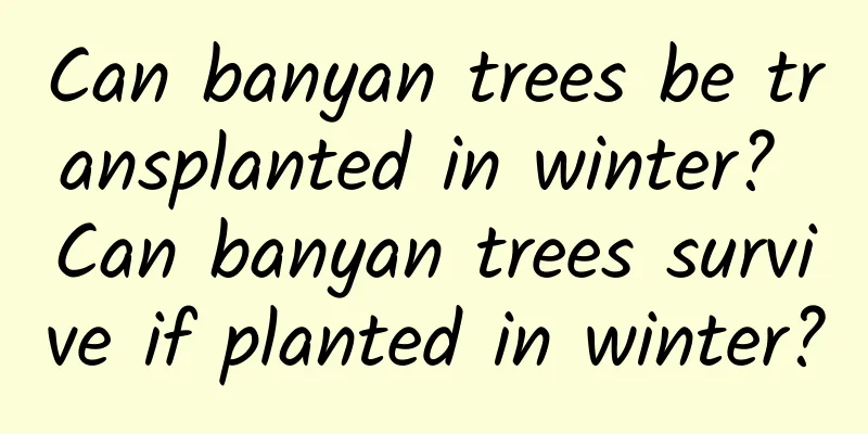 Can banyan trees be transplanted in winter? Can banyan trees survive if planted in winter?