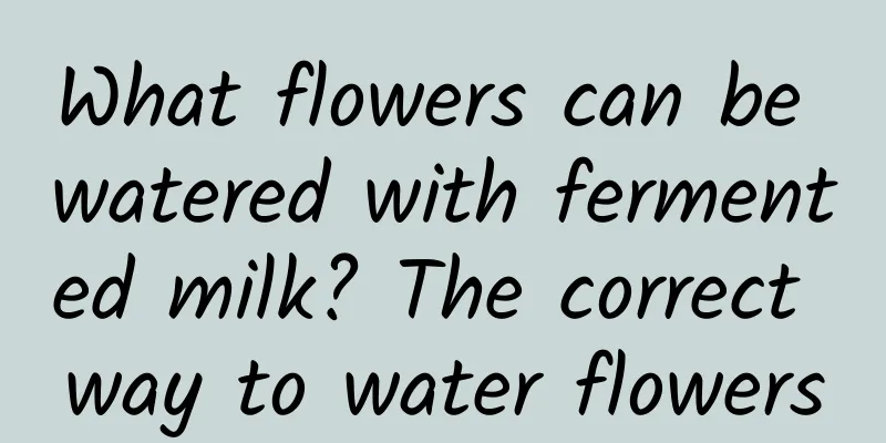 What flowers can be watered with fermented milk? The correct way to water flowers