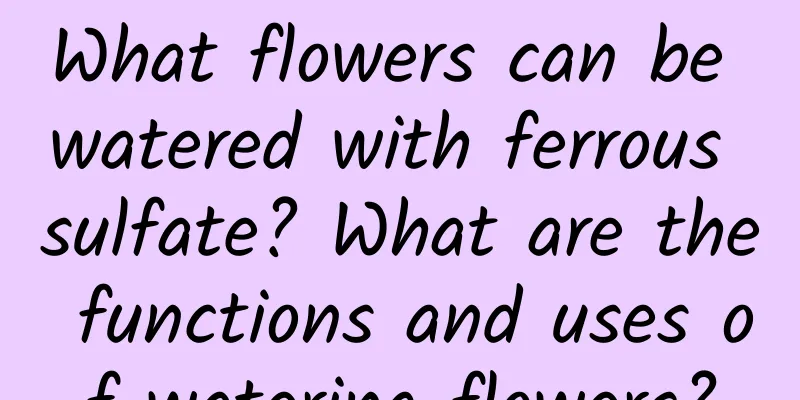What flowers can be watered with ferrous sulfate? What are the functions and uses of watering flowers?