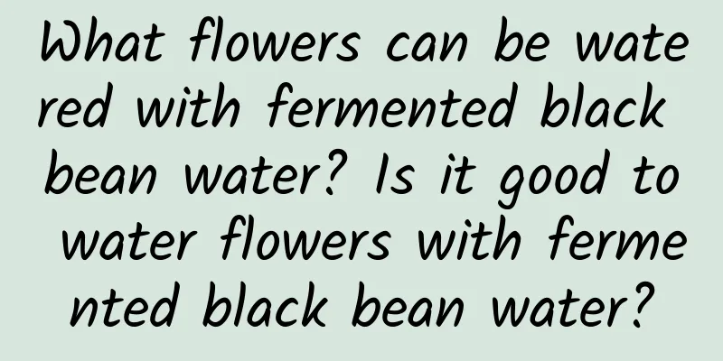 What flowers can be watered with fermented black bean water? Is it good to water flowers with fermented black bean water?