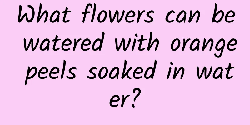 What flowers can be watered with orange peels soaked in water?