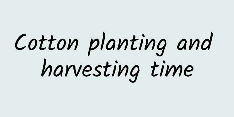 Cotton planting and harvesting time