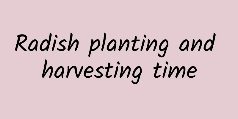 Radish planting and harvesting time