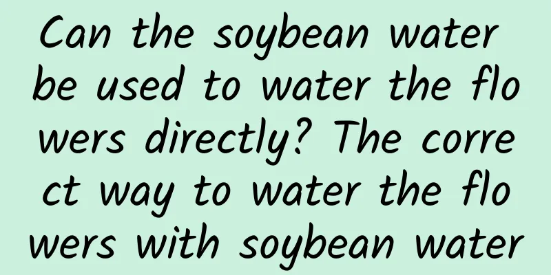Can the soybean water be used to water the flowers directly? The correct way to water the flowers with soybean water