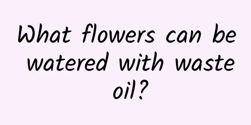 What flowers can be watered with waste oil?