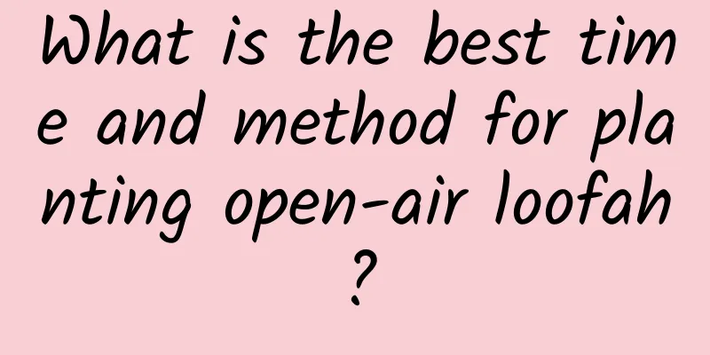 What is the best time and method for planting open-air loofah?