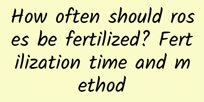 How often should roses be fertilized? Fertilization time and method